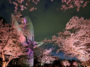 夜桜