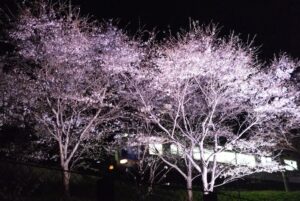 4月