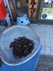 IMG_2146 (1)