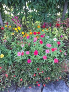 IMG_2945 (1)