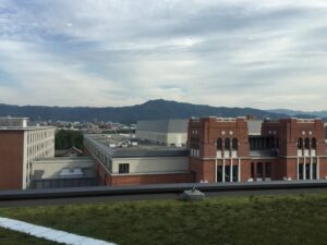 IMG_2950 (2)