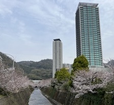 2024年4月