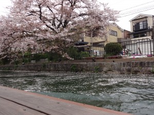 お花見＆はる 059