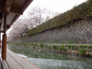 お花見＆はる 050