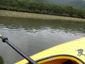 2014GW1 128