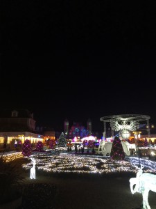 IMG_5257