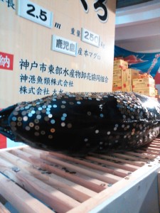 NCM_1203