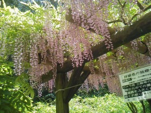 2015050512080000