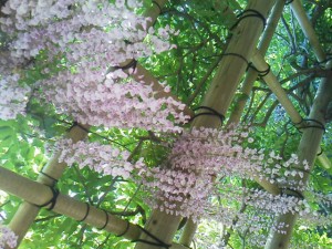 2015050512080001