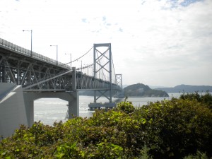 DSCN0964