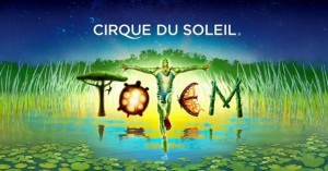totem1-599x315