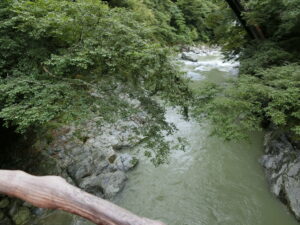 CIMG0016