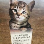 securedownload (1)