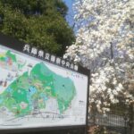 公園4