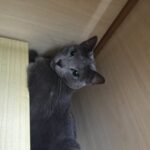 image0
