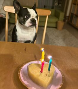 IMG_8135