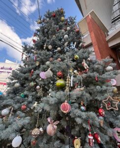 IMG_8874