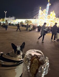 IMG_0969