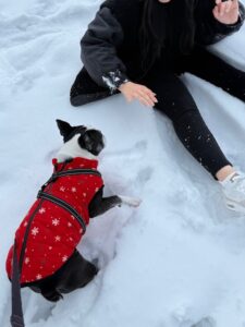 IMG_1415