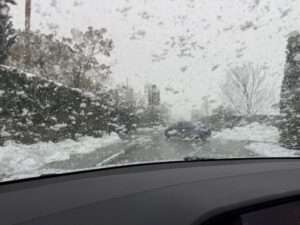 IMG_1514