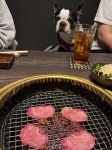 IMG_3151
