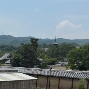 IMG_3826