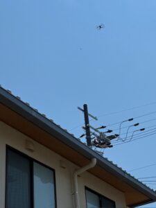 IMG_4252