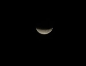 IMG_5247